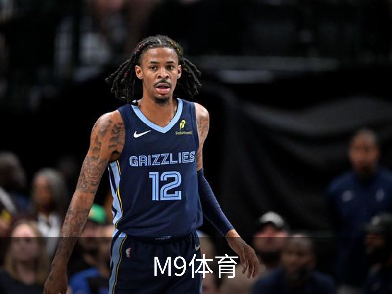 M9体育介绍